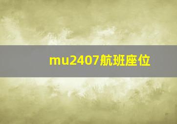 mu2407航班座位