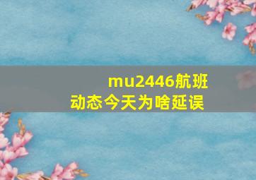 mu2446航班动态今天为啥延误