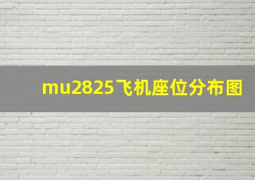 mu2825飞机座位分布图