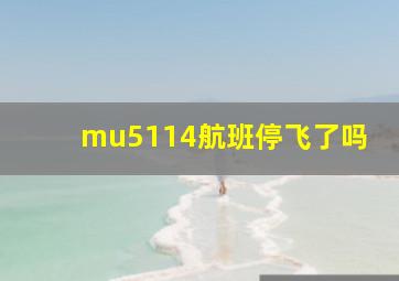 mu5114航班停飞了吗