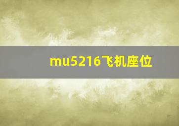 mu5216飞机座位