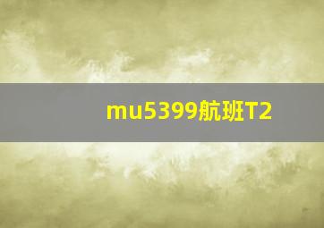 mu5399航班T2