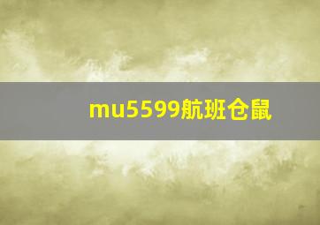 mu5599航班仓鼠