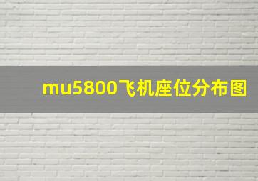 mu5800飞机座位分布图