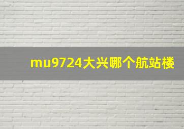 mu9724大兴哪个航站楼