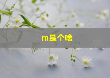 m是个啥