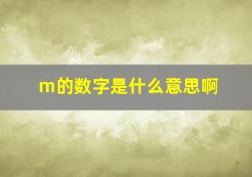 m的数字是什么意思啊