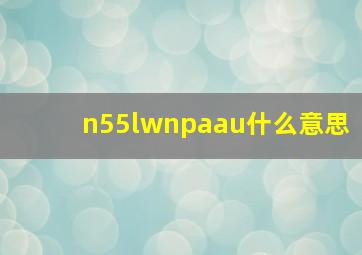 n55lwnpaau什么意思