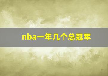 nba一年几个总冠军