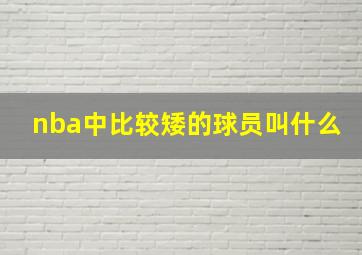 nba中比较矮的球员叫什么