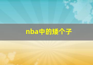 nba中的矮个子