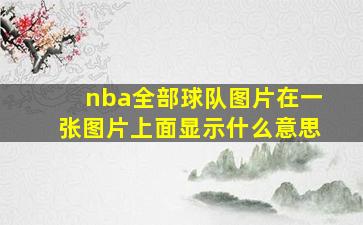 nba全部球队图片在一张图片上面显示什么意思