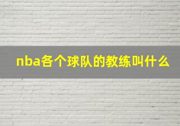 nba各个球队的教练叫什么