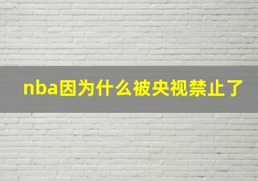 nba因为什么被央视禁止了