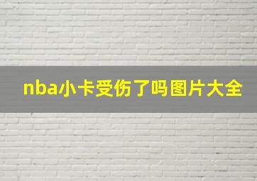 nba小卡受伤了吗图片大全