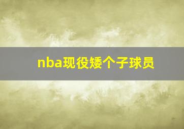 nba现役矮个子球员