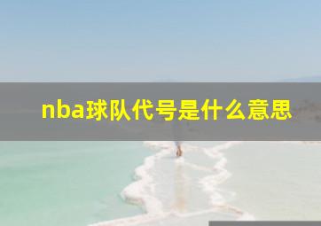 nba球队代号是什么意思