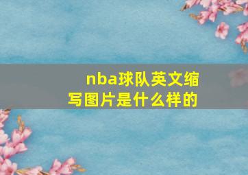 nba球队英文缩写图片是什么样的