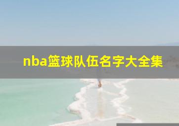 nba篮球队伍名字大全集