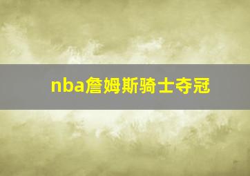 nba詹姆斯骑士夺冠