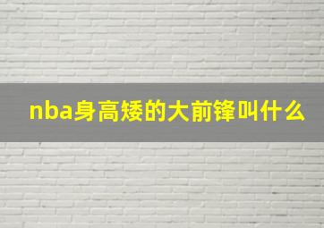 nba身高矮的大前锋叫什么