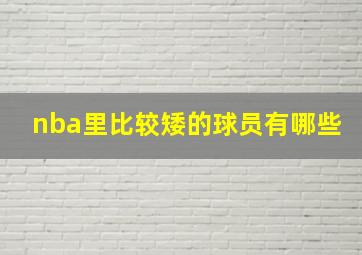 nba里比较矮的球员有哪些