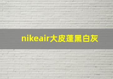 nikeair大皮蓬黑白灰