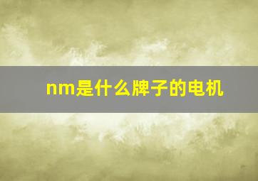 nm是什么牌子的电机