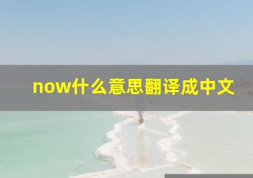 now什么意思翻译成中文