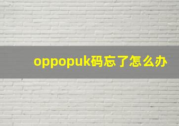 oppopuk码忘了怎么办