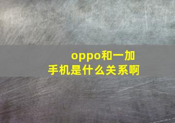 oppo和一加手机是什么关系啊