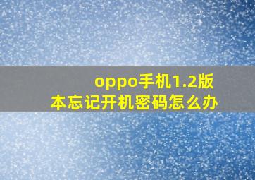 oppo手机1.2版本忘记开机密码怎么办