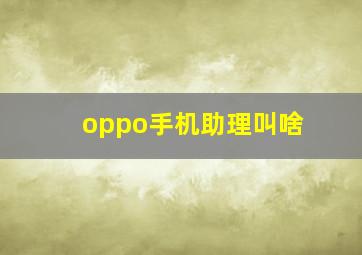 oppo手机助理叫啥