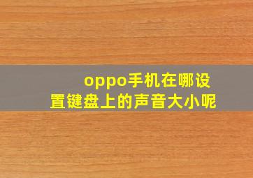 oppo手机在哪设置键盘上的声音大小呢