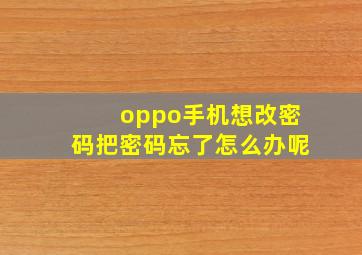 oppo手机想改密码把密码忘了怎么办呢