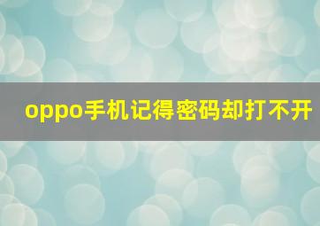 oppo手机记得密码却打不开