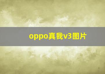 oppo真我v3图片