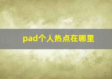 pad个人热点在哪里