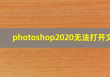 photoshop2020无法打开文件