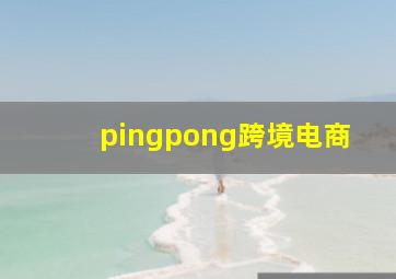 pingpong跨境电商