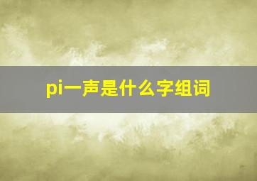 pi一声是什么字组词