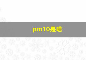 pm10是啥