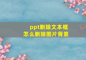 ppt删除文本框怎么删除图片背景