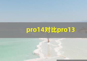 pro14对比pro13