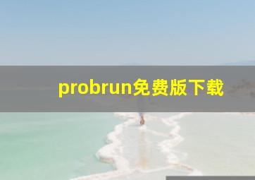 probrun免费版下载