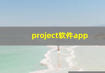 project软件app