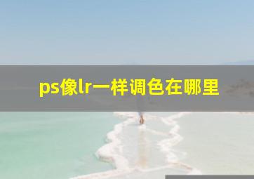 ps像lr一样调色在哪里