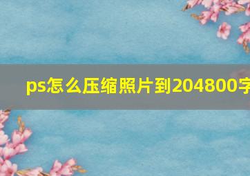 ps怎么压缩照片到204800字