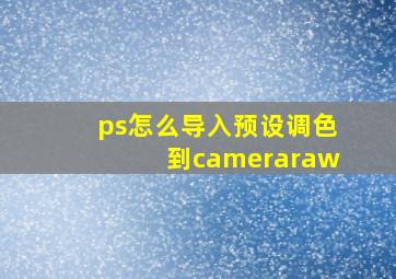 ps怎么导入预设调色到cameraraw