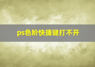 ps色阶快捷键打不开